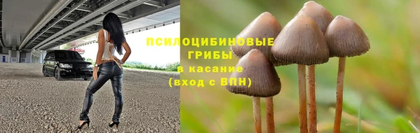каннабис Бородино