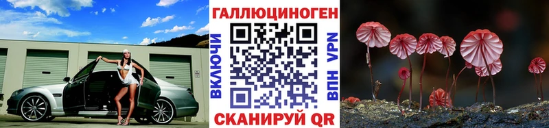 Псилоцибиновые грибы прущие грибы  Дигора 